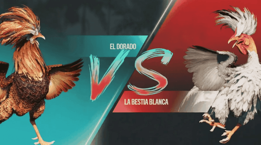 ssvv Slots Premium e Jogos Exclusivos